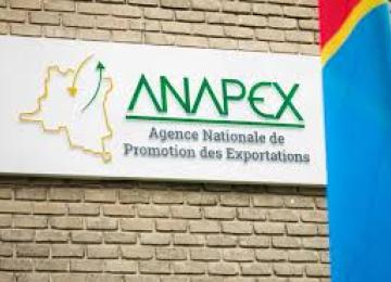 Anapex