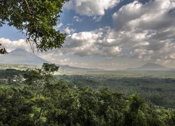 Parc national de Virunga