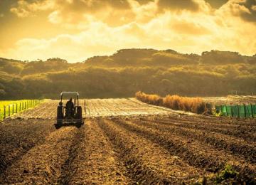 Parc agro-industriel