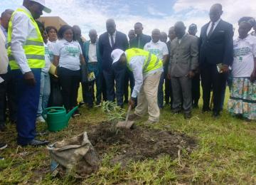 Plantation d'un arbre à l'INA