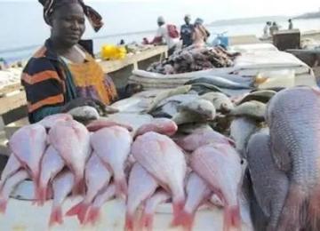 Photo d'illustration 