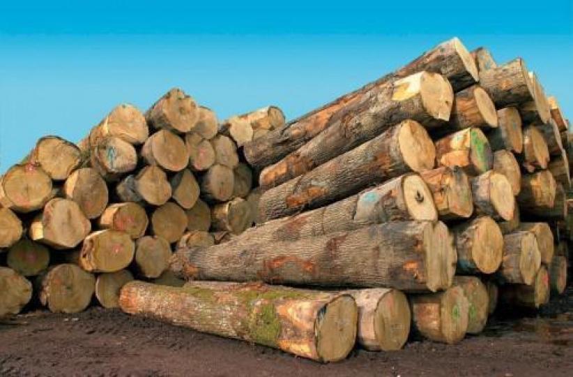 grumes