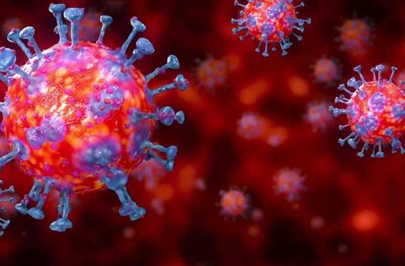 Coronavirus 