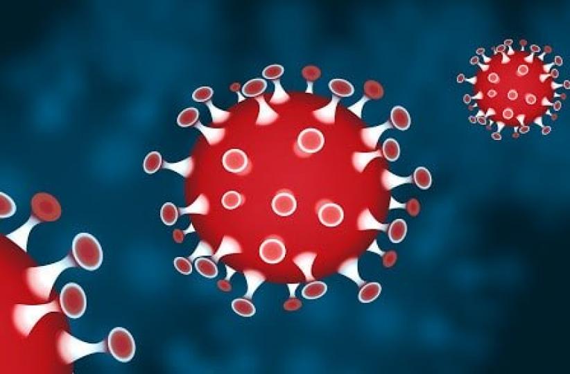 Coronavirus 