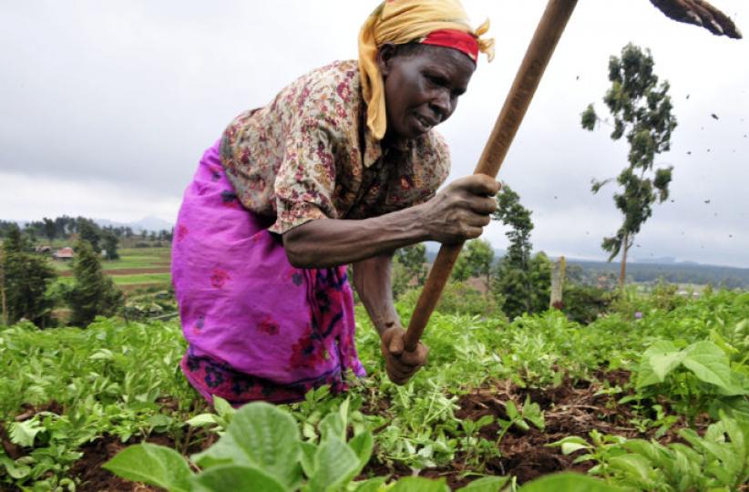 Agriculture 