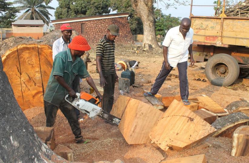 foresterie communautaire