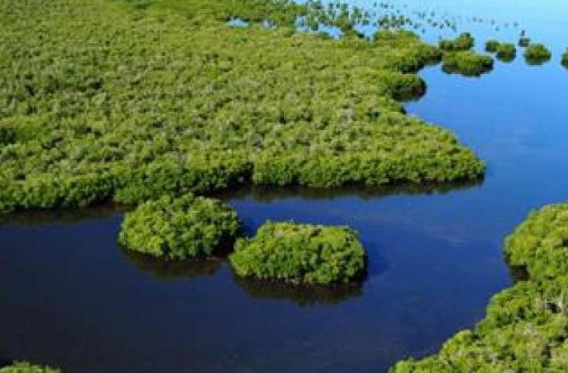 environnement 