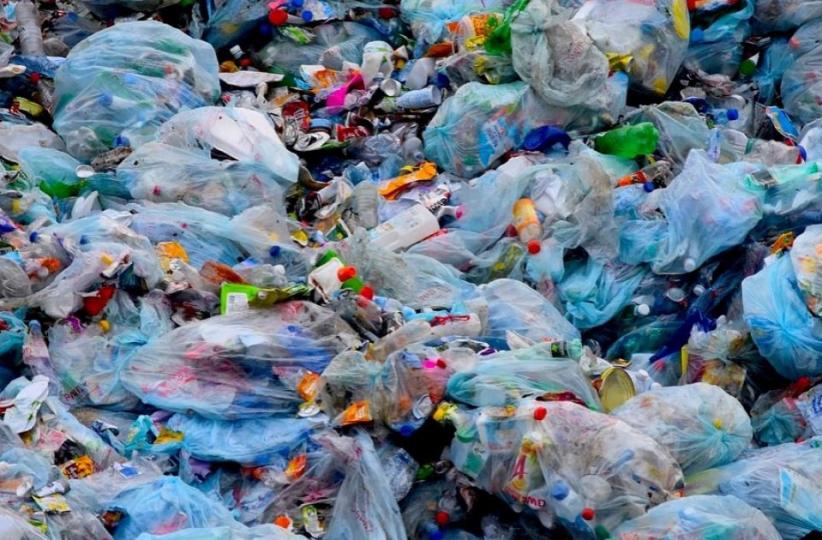 Des immondices en plastique. Ph. droits tiers.
