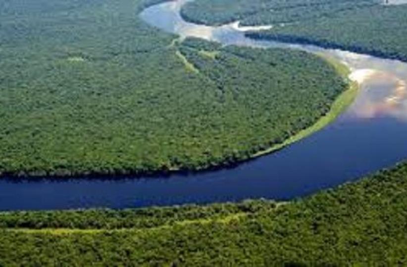 Le bassin du Congo