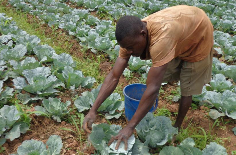 Un petit agriculteur dans un champ 