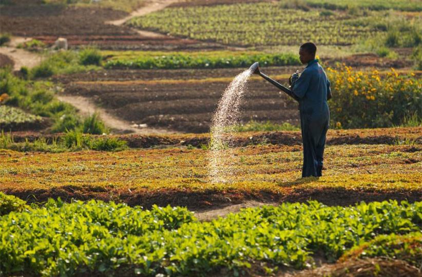 Agriculture paysanne
