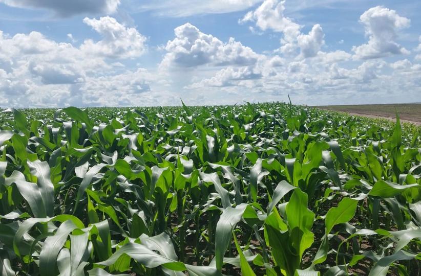 Les Fonds de péréquation devraient servir notamment à promouvoir les activités agricoles en milieux ruraux 