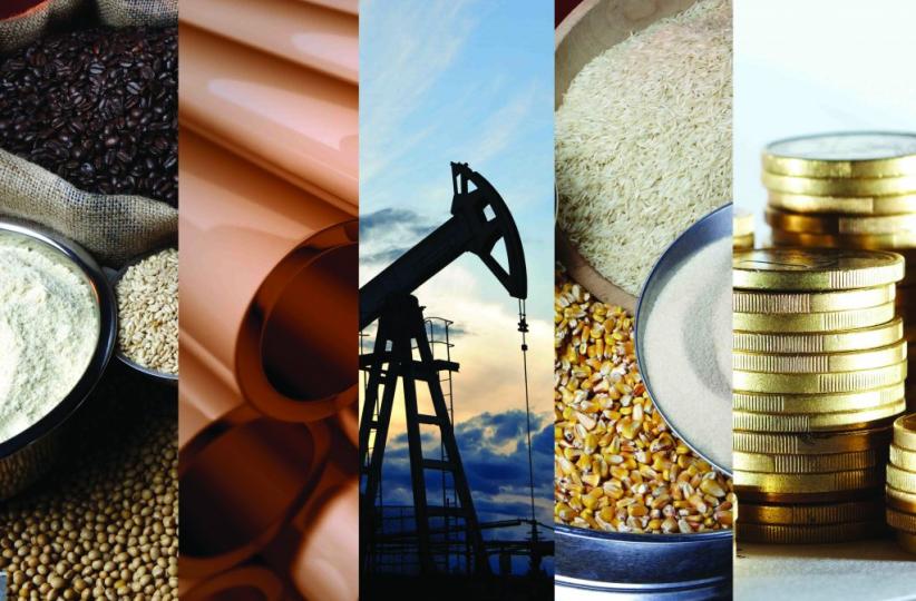 Activités économiques