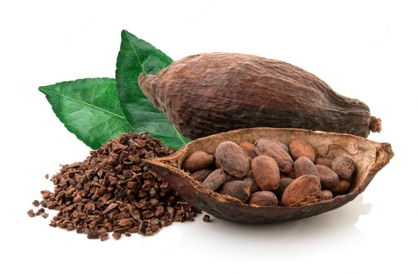 Le cacao