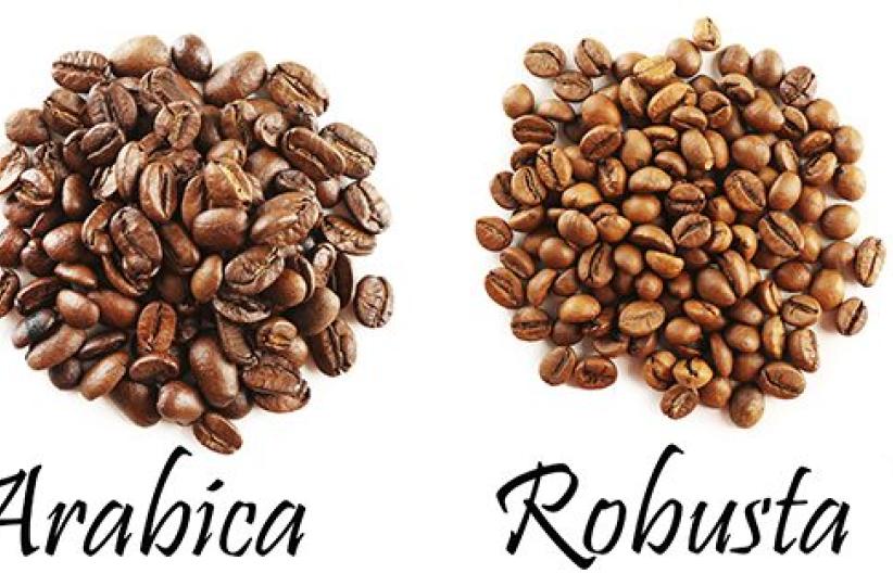 Le café