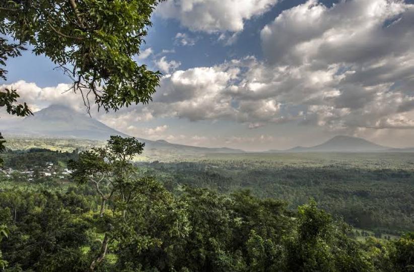 Parc national de Virunga