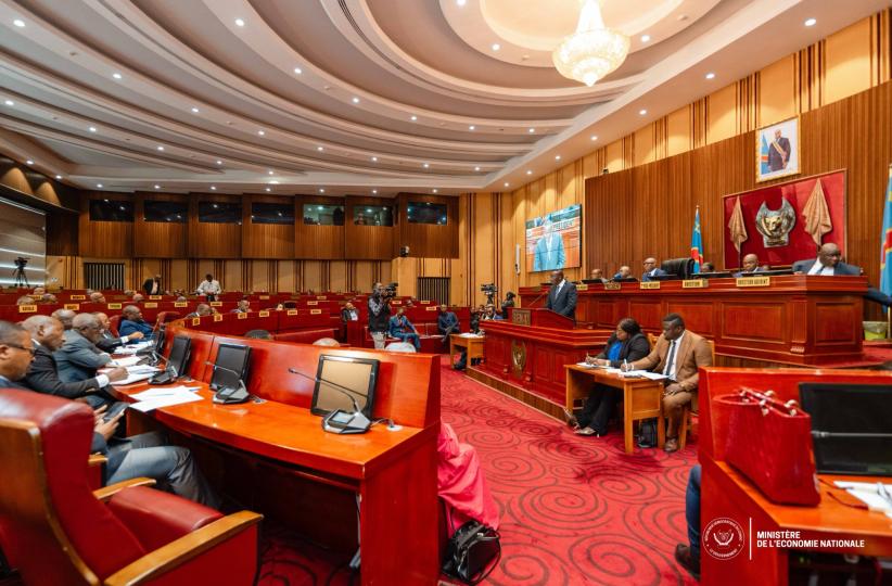 plénière  au sénat 